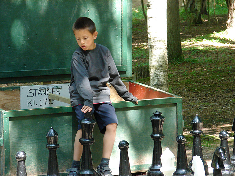 Chess<br>by Stefan Olsson