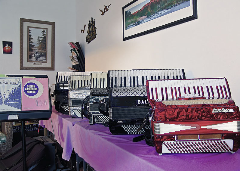 My Accordions