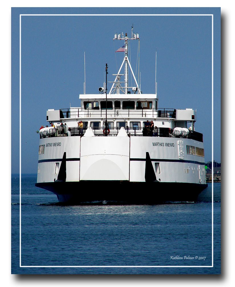 Flight of the Ferry<br>by Kathleen Palmer
