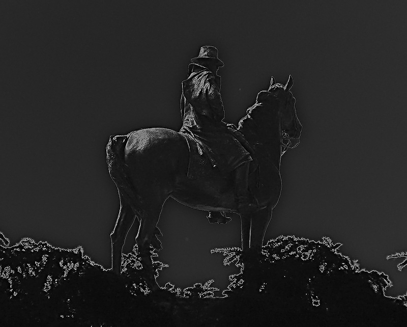 Night Rider