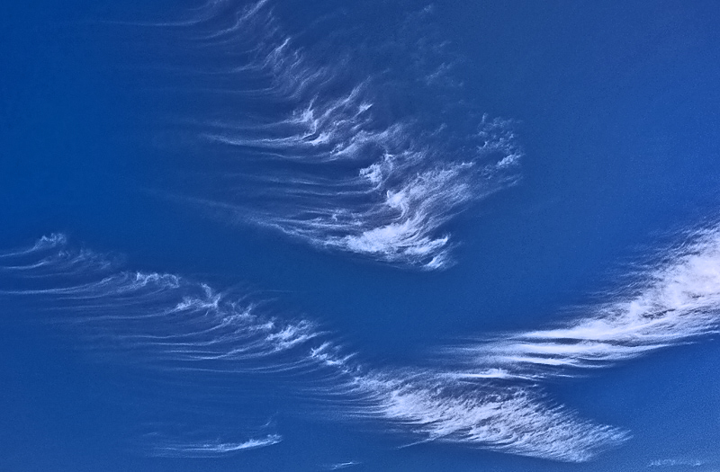 The Best of All Possible Worlds<br>by anon