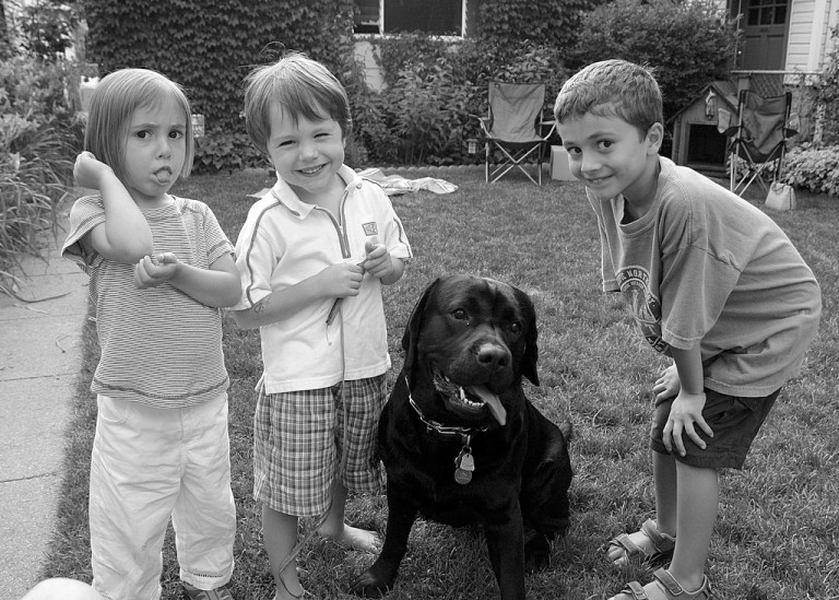 The Gang<br>by Norbert