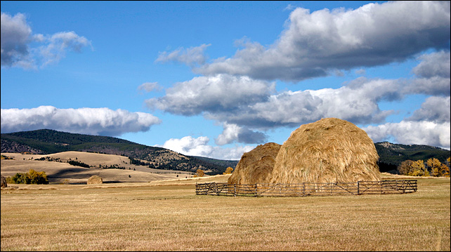 Near Avon, MT <br>by mlynn