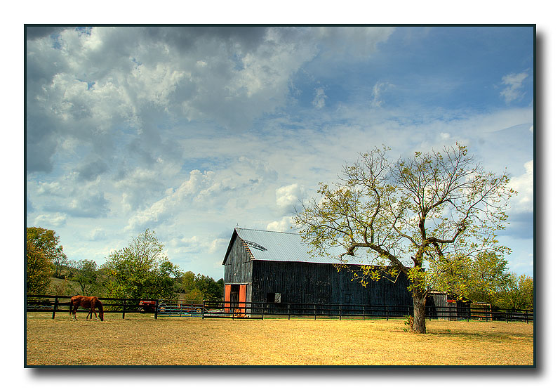 <b>6th place</b><br>Kentucky Farm