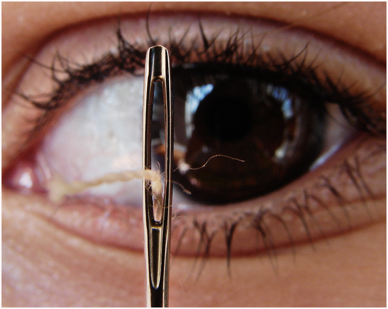 <b>6th Place</b><br>Eye behind the eye<br>by Alopa