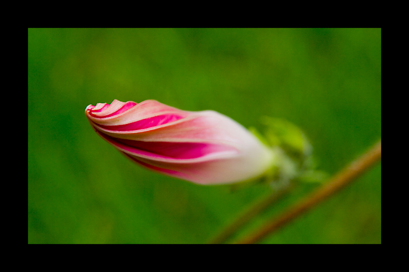 coming of age<br>by parallax