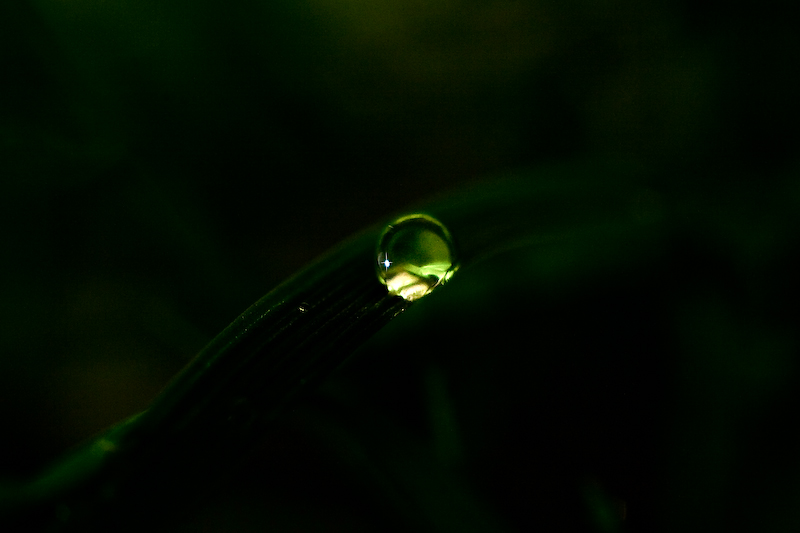drop of light<br>by parallax