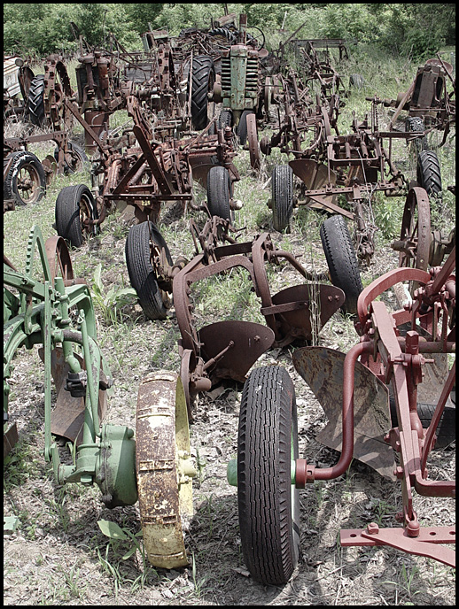 10th place (tie)<br>Parade of the Tires