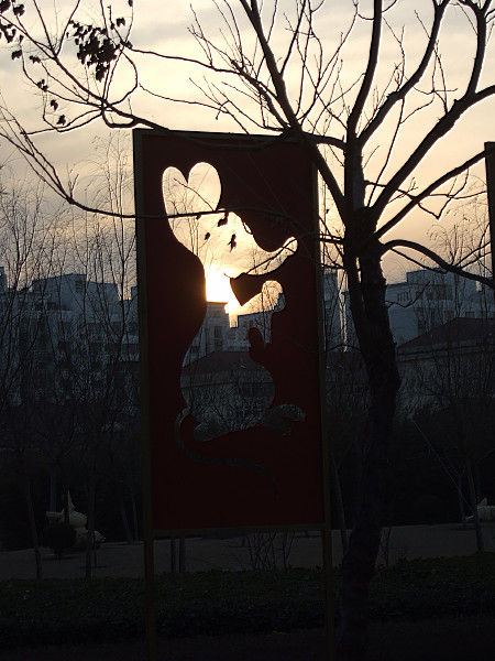 The Sun in the Year of the Rat<br>by jrdu