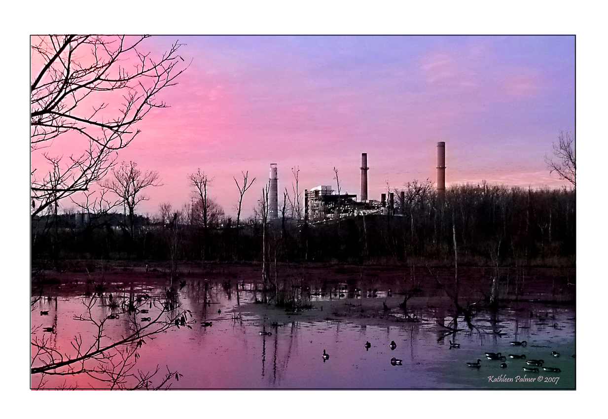 Purple Haze of Pollution