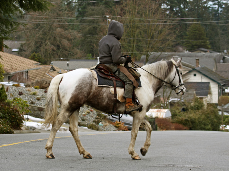 Urban Cowboy......<br>by willvan