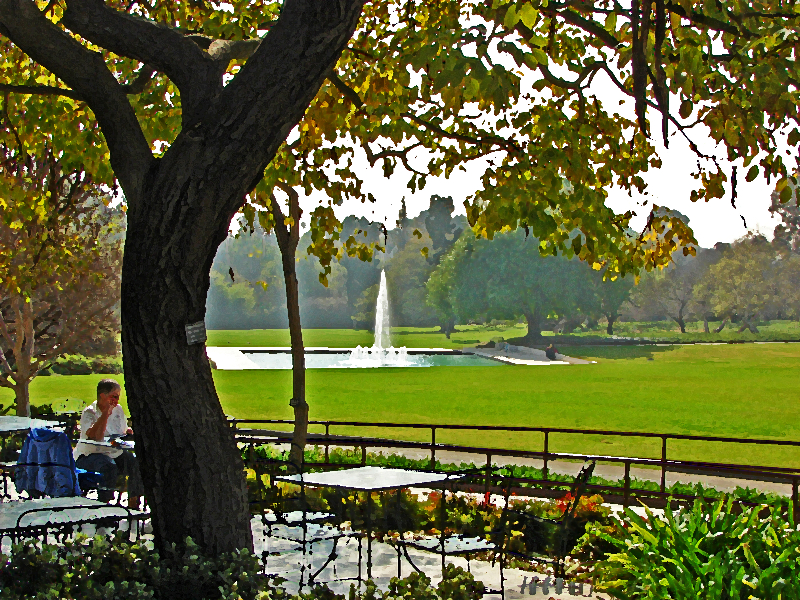 QUIET AFTERNOON  AT THE PARK<br> by Warbler