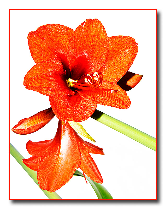 A little brightness