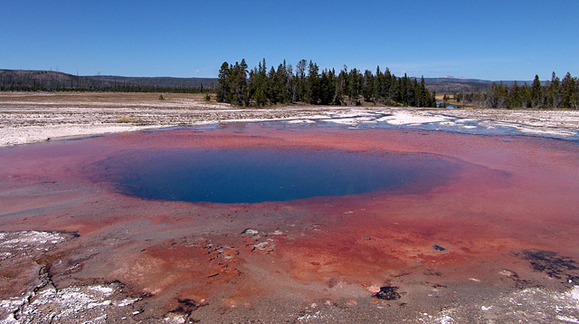 Yellowstone N.P.