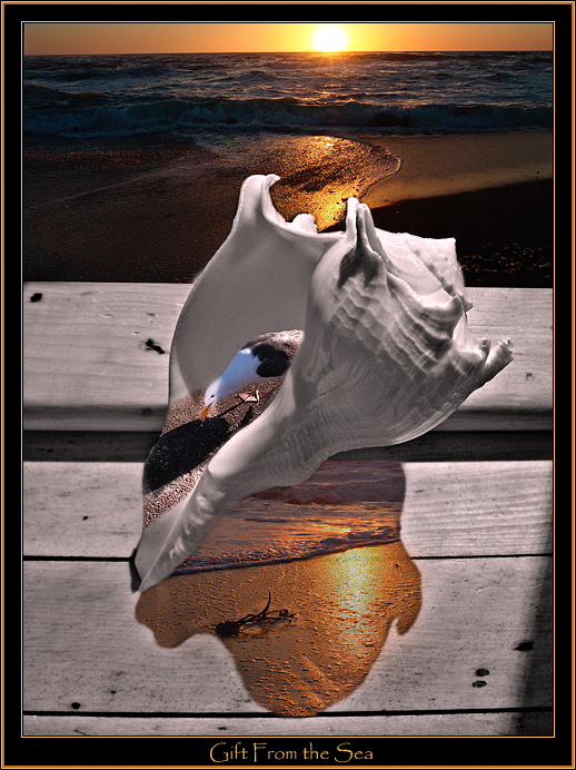 Gift from the Sea
