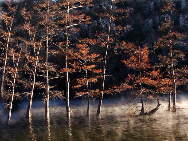 3rd Place<br>Morning Mist <br> by Sky