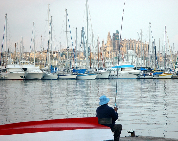 Paz en Palma