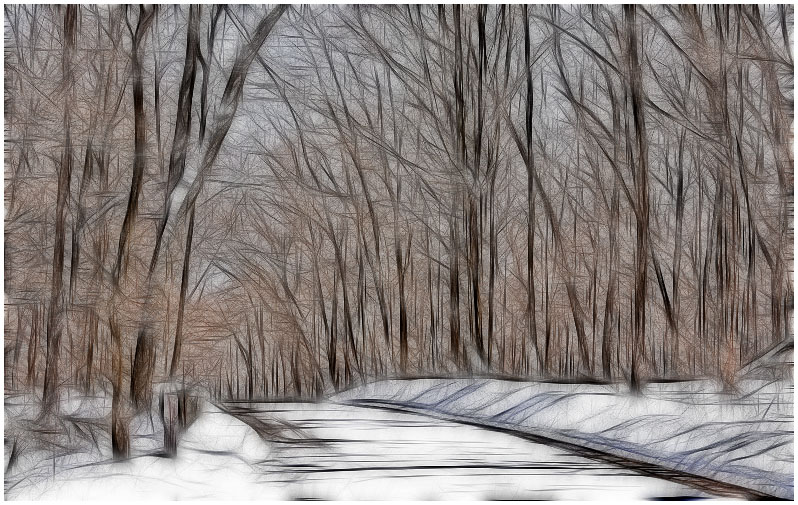 A peaceful walk throught the woods