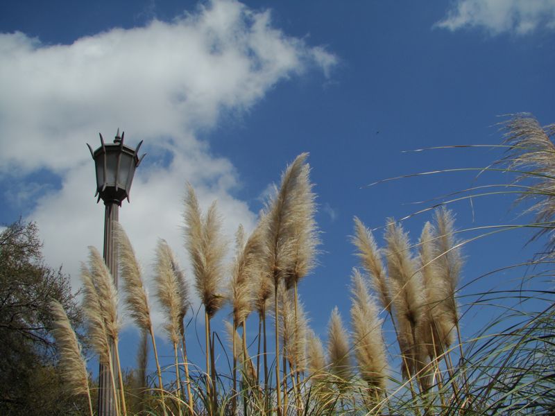 Glimpse of Heaven <br> by Sky