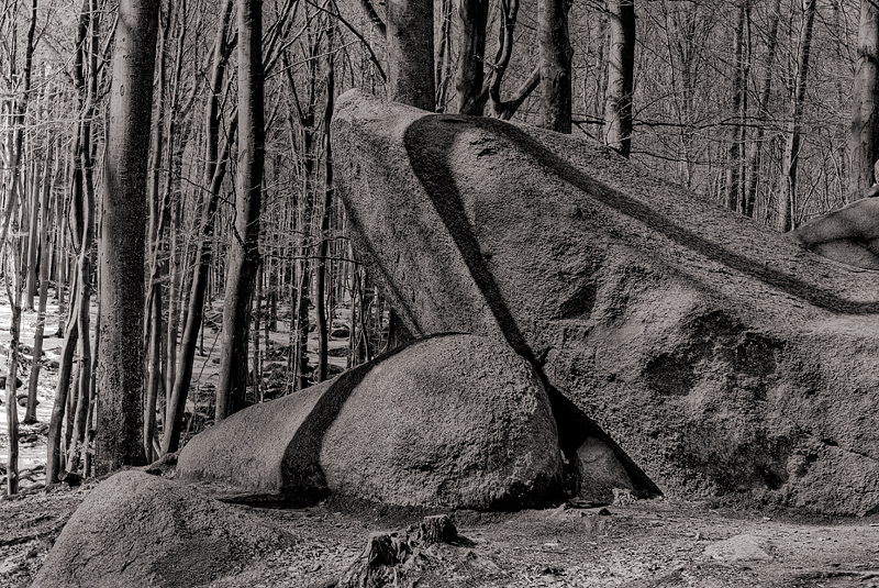 In the woods III<br>by Jean-Gaspard Deburau