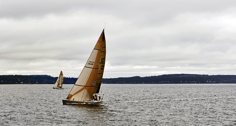 Sails up!<br> by pop-eye