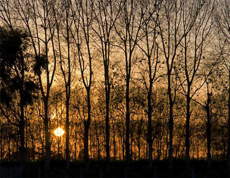2nd place<br>Sunset in the Breaks<br>by Harvey Rawn