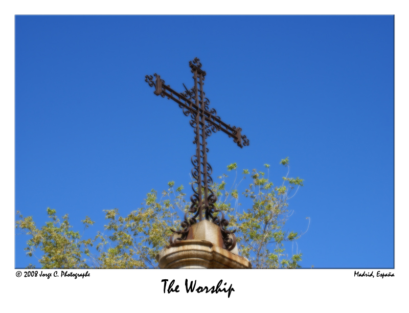 The Worship<br>by Cata