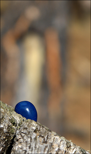 A Little Lapis III<br>by mlynn