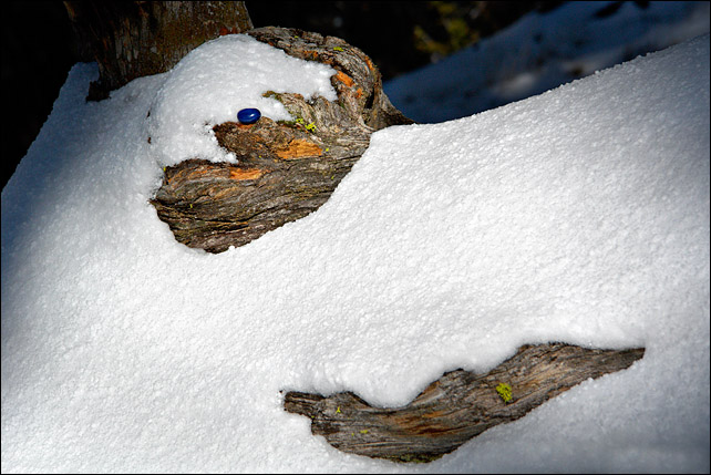 Fresh Snow II<br>by mlynn