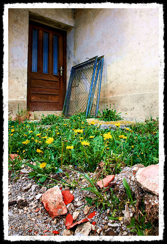 This Old House<br>by Cam E. Rashy