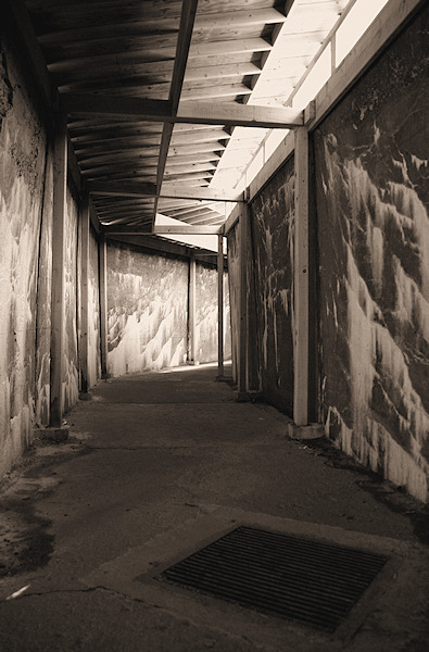 Cape Spear Bunkers 001