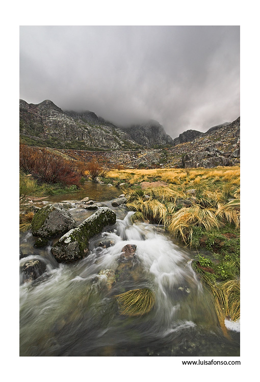 Glacial Water