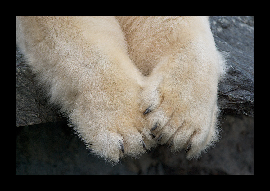 to hold hands