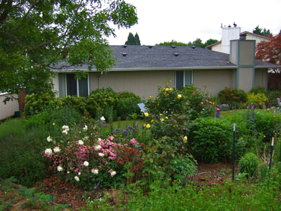 Backyard and Backside of house.jpg