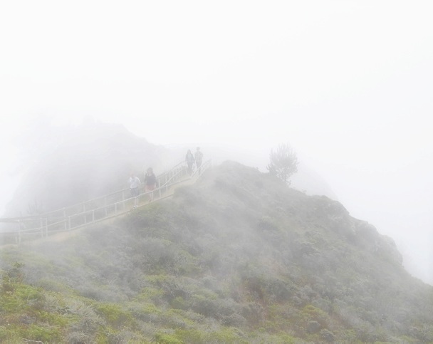 Foot Steps in the Fog / Muir Beach Overlook