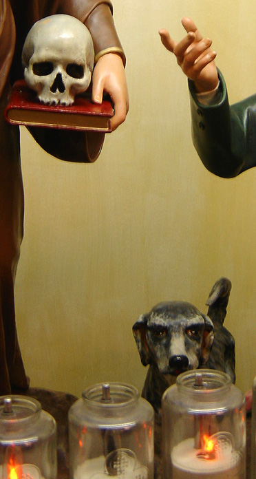 skull, dog, & flame