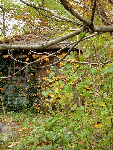 old witch house