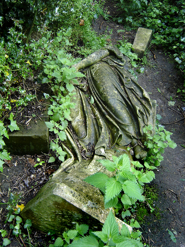 ii