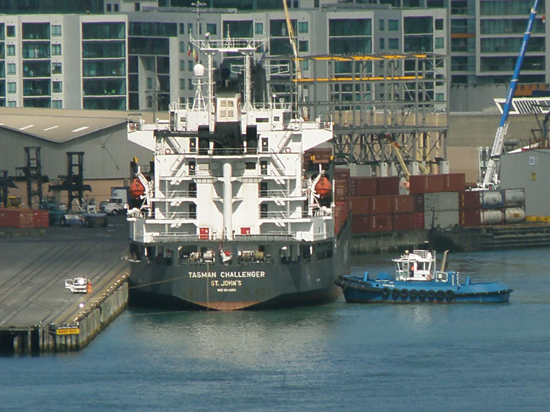Tasman Challenger 5.jpg
