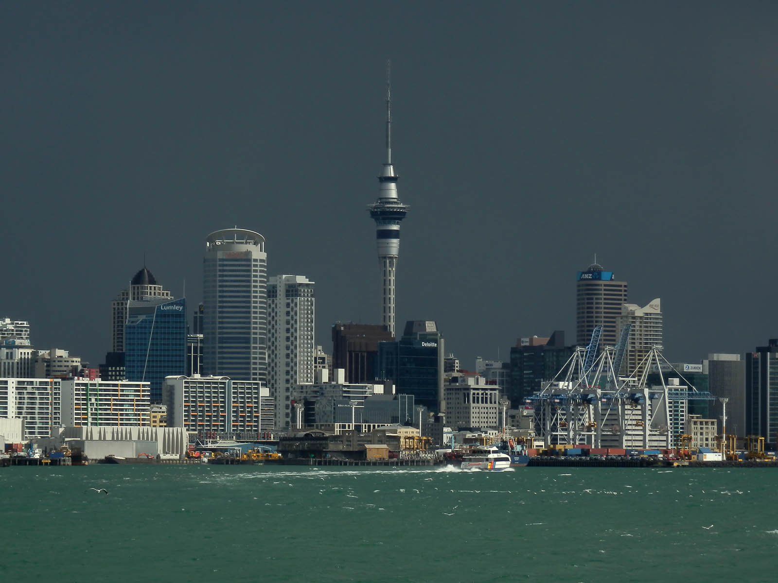Auckland Downtown