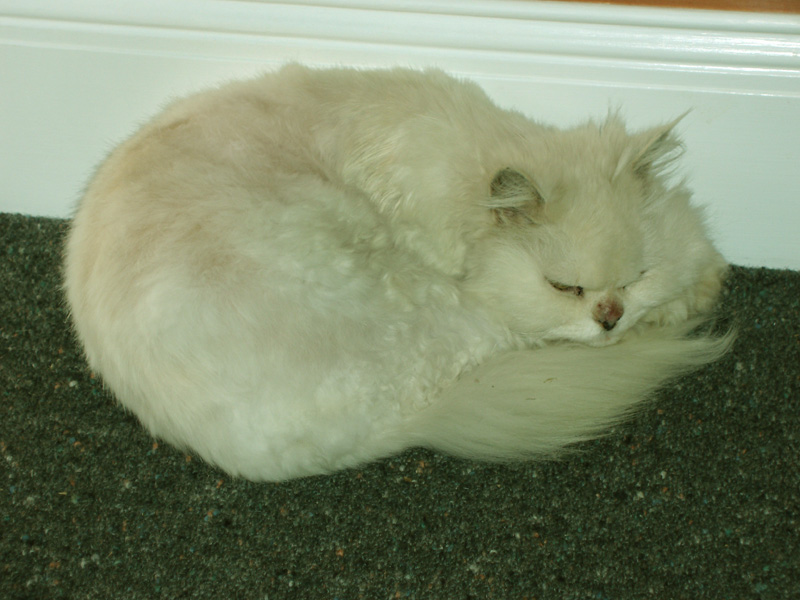 After breakfast.jpg