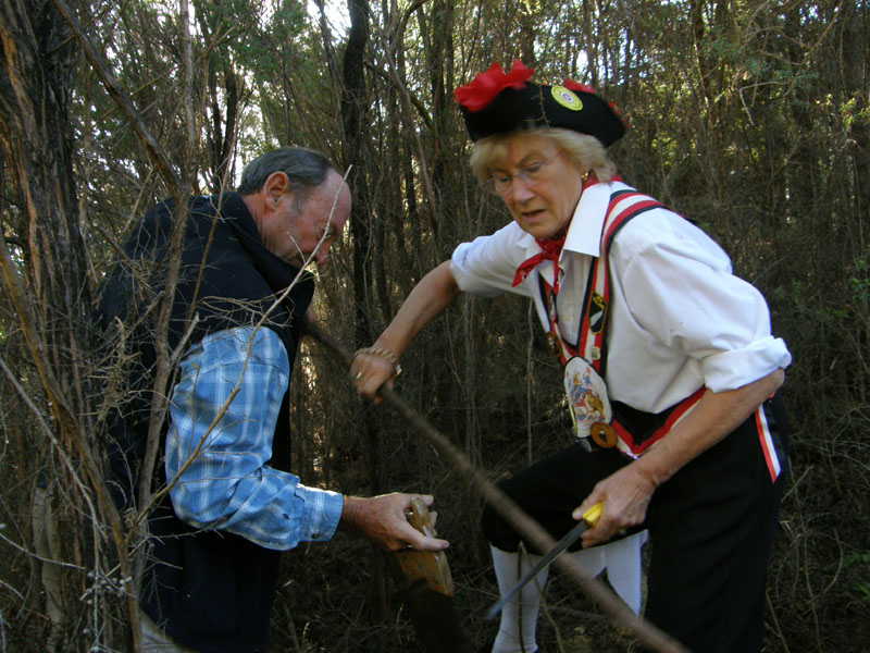 Getting Sticks.jpg