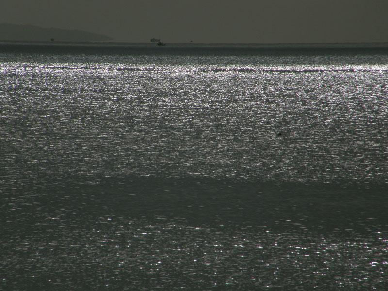 Sparkling Sea.jpg