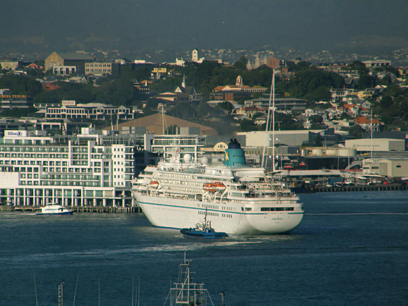 Amadea 6.jpg