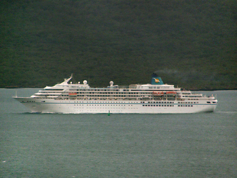 Amadea A.jpg
