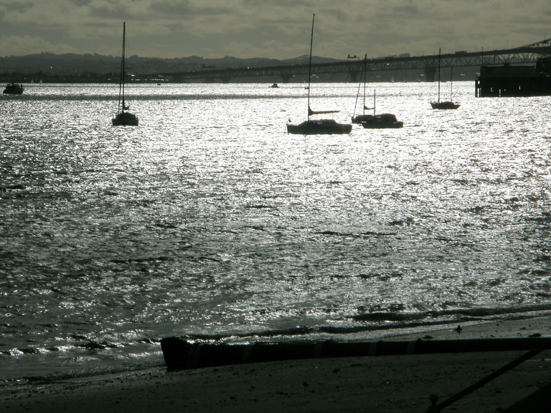 Late Afternoon 2.jpg