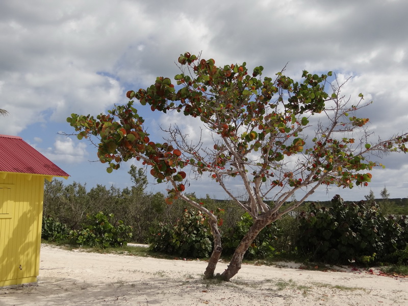 DSC03741_resize.JPG
