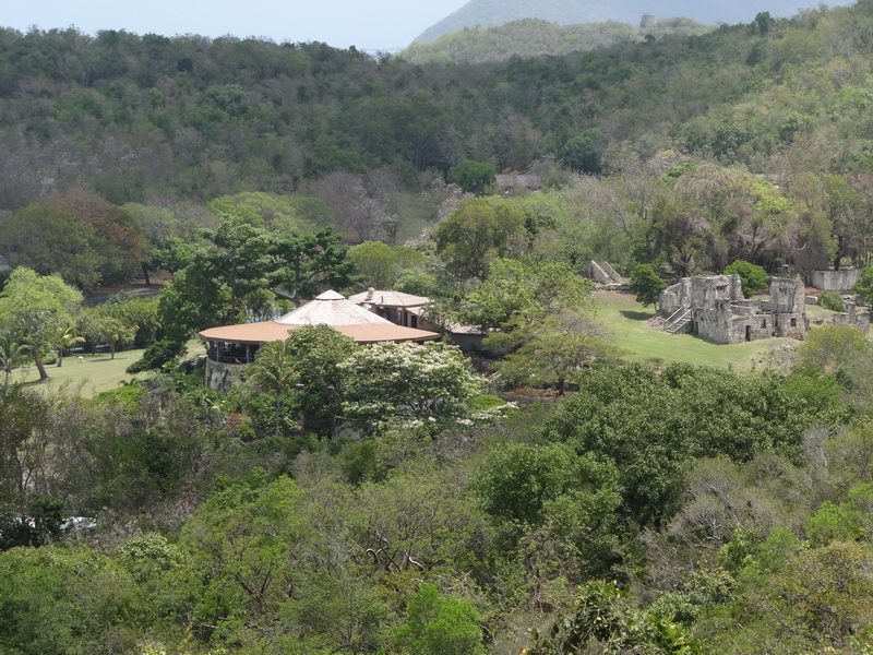 DSC04310_resize.JPG