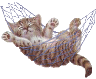 cat_hammock.gif