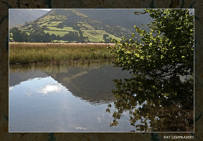 brothers water